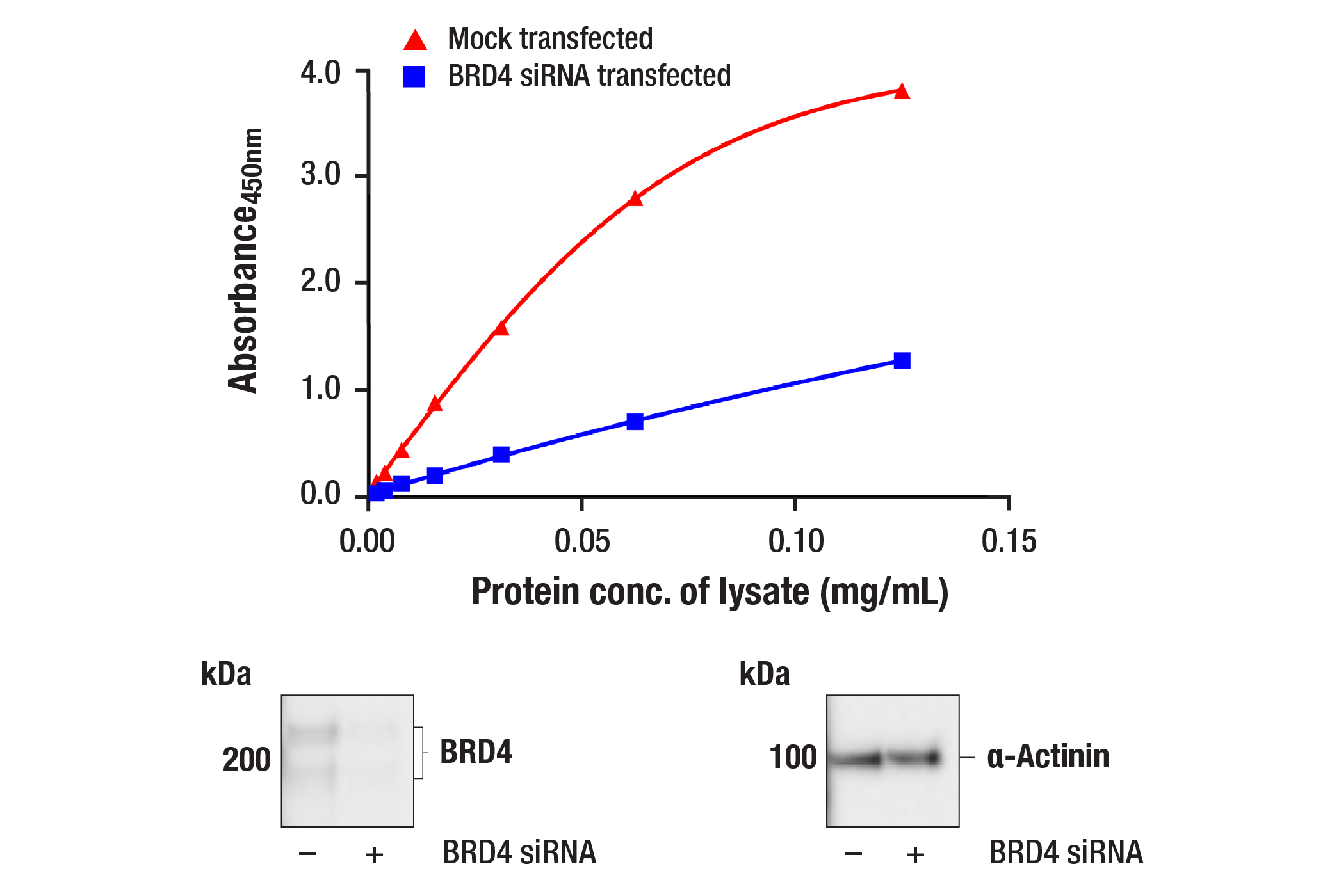  Image 1: PathScan® RP BRD4 Sandwich ELISA Kit