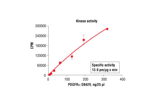  Image 5: HTScan® PDGF Receptor α D842V Kinase Assay Kit
