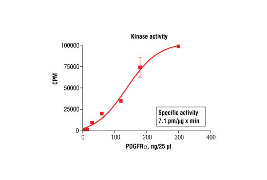  Image 5: HTScan® Mouse PDGF Receptor α Kinase Assay Kit