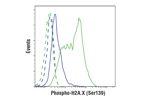 Flow Cytometry Image 1: Phospho-Histone H2A.X (Ser139) (D7T2V) Mouse mAb