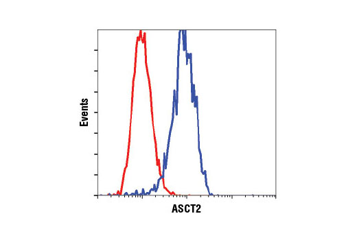 Flow Cytometry Image 1: ASCT2 (D7C12) Rabbit mAb (BSA and Azide Free)