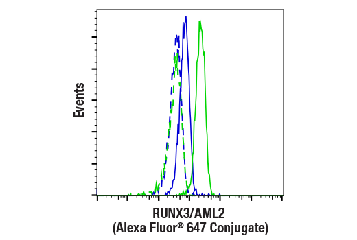 Flow Cytometry Image 1: RUNX3/AML2 (D6E2) Rabbit mAb (Alexa Fluor® 647 Conjugate)