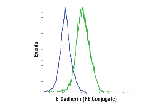 Flow Cytometry Image 1: E-Cadherin (4A2) Mouse mAb (PE Conjugate)