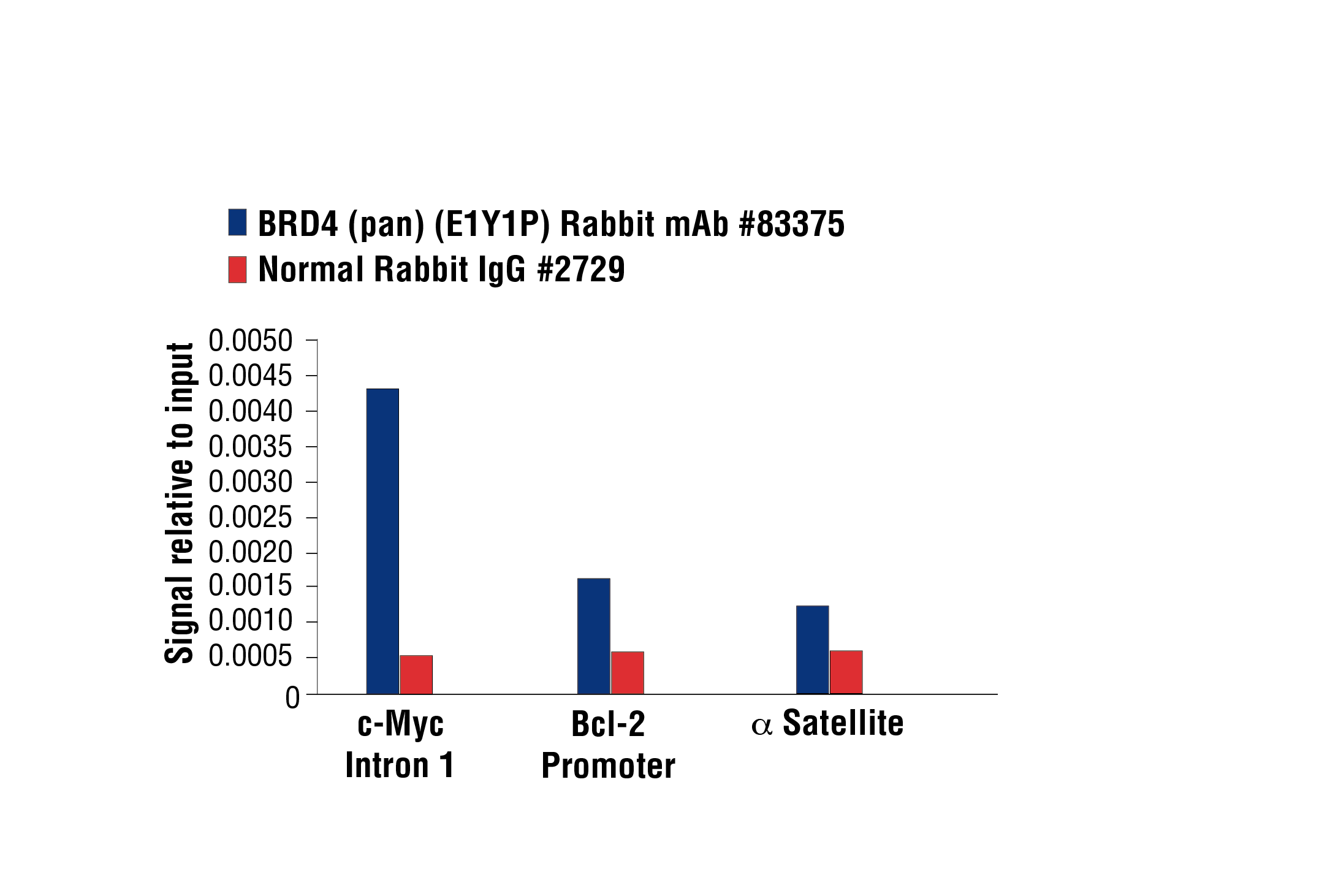 Chromatin Immunoprecipitation Image 1: BRD4 (pan) (E1Y1P) Rabbit mAb