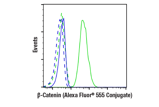 Flow Cytometry Image 1: β-Catenin (D10A8) XP® Rabbit mAb (Alexa Fluor® 555 Conjugate)