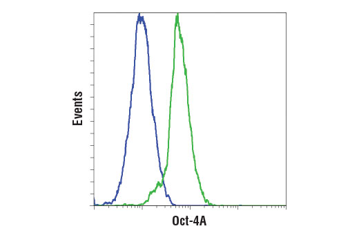 Flow Cytometry Image 1: Oct-4A (D6C8T) Rabbit mAb