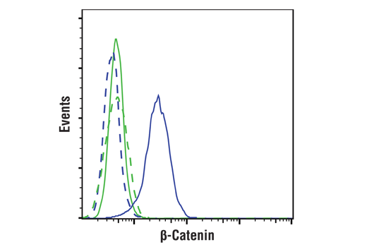 Flow Cytometry Image 1: β-Catenin (D10A8) XP® Rabbit mAb