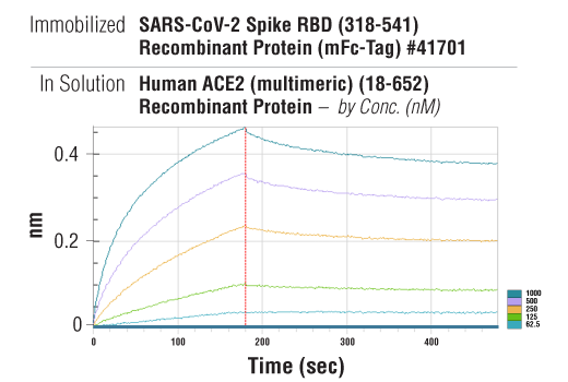  Image 2: Human ACE2 (multimeric) (18-652) Recombinant Protein