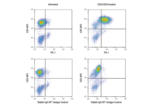  Image 78: Human Exhausted CD8+ T Cell IHC Antibody Sampler Kit