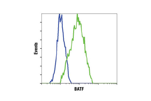 Flow Cytometry Image 1: BATF (D7C5) Rabbit mAb