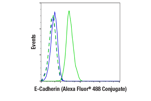 Flow Cytometry Image 1: E-Cadherin (4A2) Mouse mAb (Alexa Fluor® 488 Conjugate)
