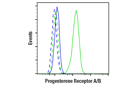  Image 34: Steroid Hormone Receptor Antibody Sampler Kit