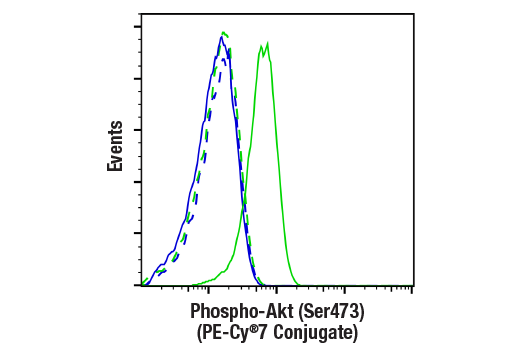 Flow Cytometry Image 1: Phospho-Akt (Ser473) (D9E) XP® Rabbit mAb (PE-Cy®7 Conjugate)