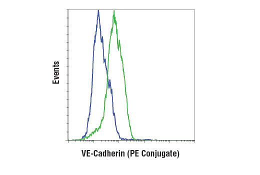 Flow Cytometry Image 1: VE-Cadherin (D87F2) XP® Rabbit mAb (PE Conjugate)