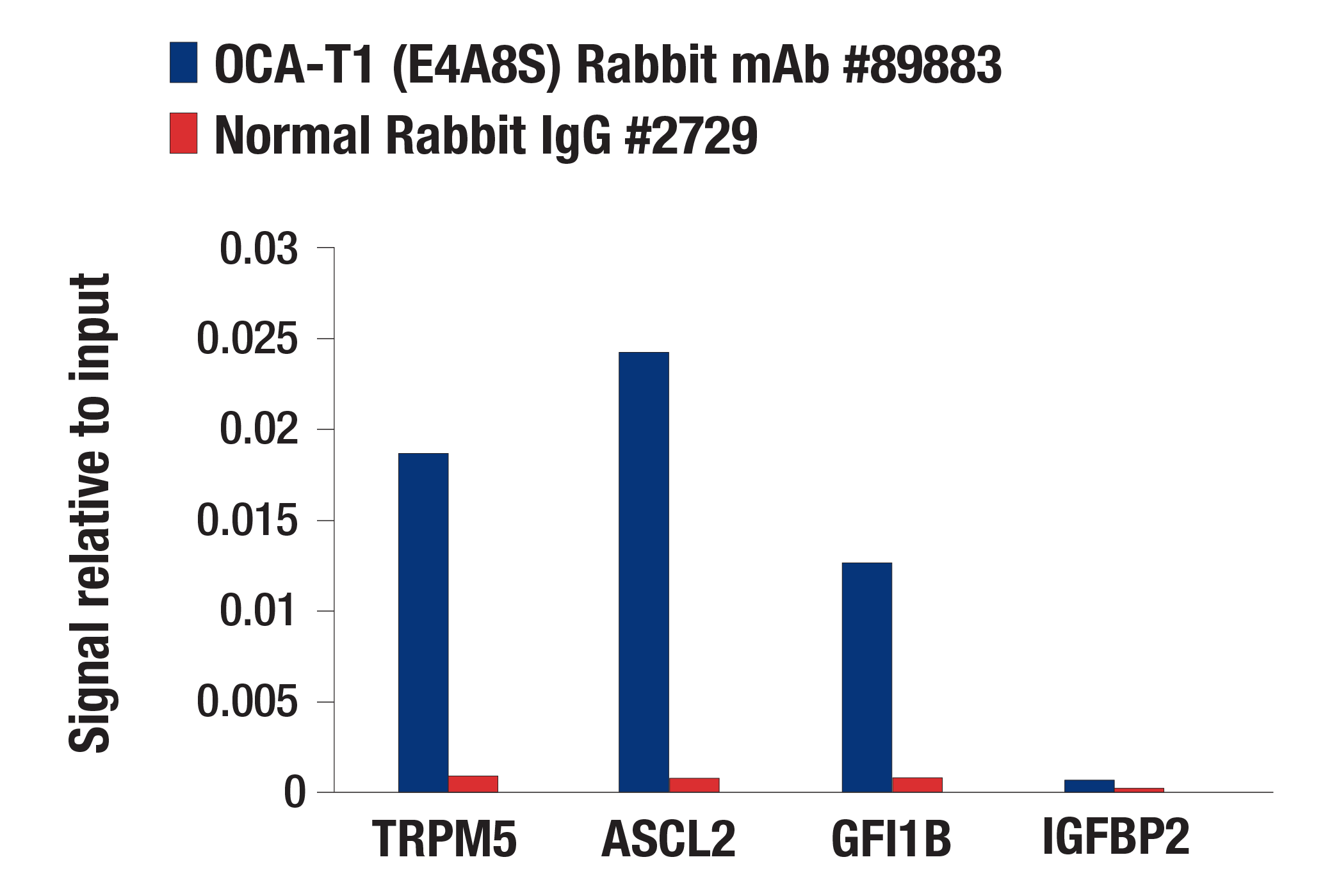 Chromatin Immunoprecipitation Image 1: OCA-T1 (E4A8S) Rabbit mAb