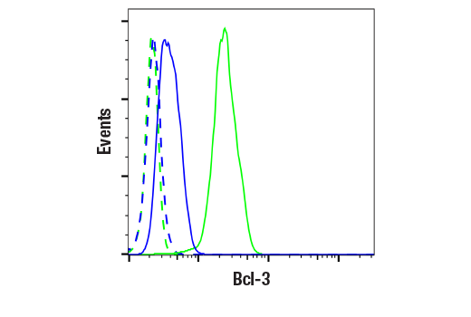 Flow Cytometry Image 1: Bcl-3 (E2M6N) Rabbit mAb