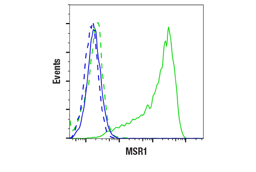 Flow Cytometry Image 4: MSR1 (E4H1C) Rabbit mAb