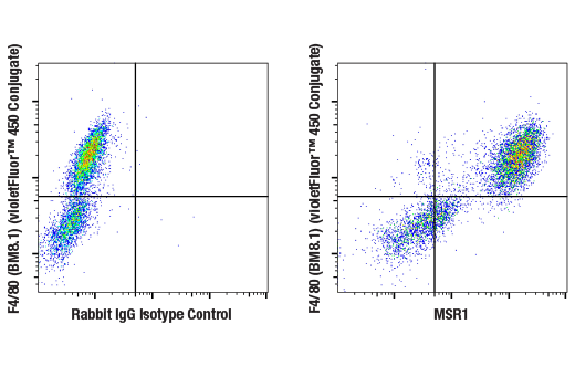 Flow Cytometry Image 3: MSR1 (E4H1C) Rabbit mAb