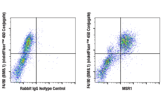 Flow Cytometry Image 2: MSR1 (E4H1C) Rabbit mAb
