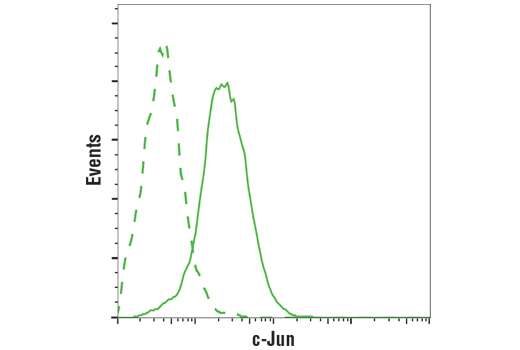 Flow Cytometry Image 1: c-Jun (60A8) Rabbit mAb