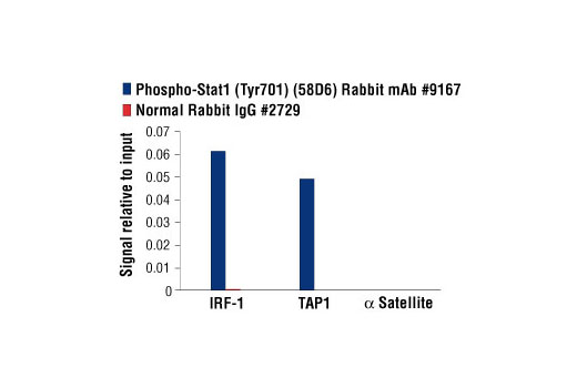  Image 68: Human Reactive M1 vs M2 Macrophage IHC Antibody Sampler Kit