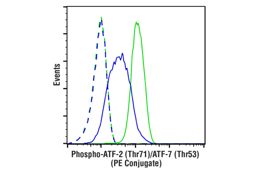 Flow Cytometry Image 1: Phospho-ATF-2 (Thr71)/ATF-7 (Thr53) (A8J7P) Rabbit mAb (PE Conjugate)