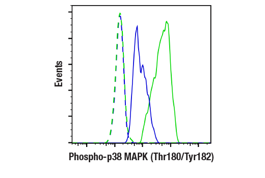 Flow Cytometry Image 1: Phospho-p38 MAPK (Thr180/Tyr182) (28B10) Mouse mAb