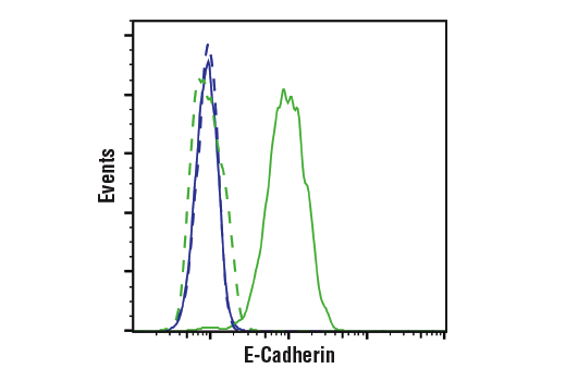 Flow Cytometry Image 1: E-Cadherin (4A2) Mouse mAb (BSA and Azide Free)