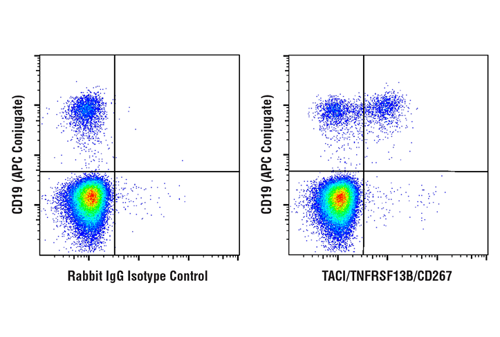 Flow Cytometry Image 2: TACI/TNFRSF13B/CD267 (E1D1P) Rabbit mAb
