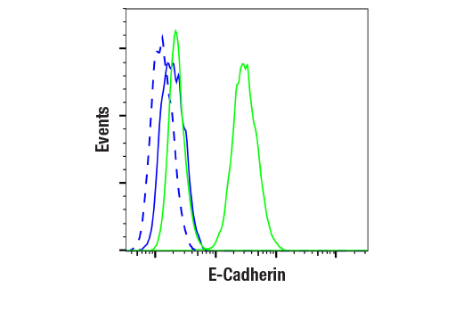 Flow Cytometry Image 1: E-Cadherin (24E10) Rabbit mAb (BSA and Azide Free)