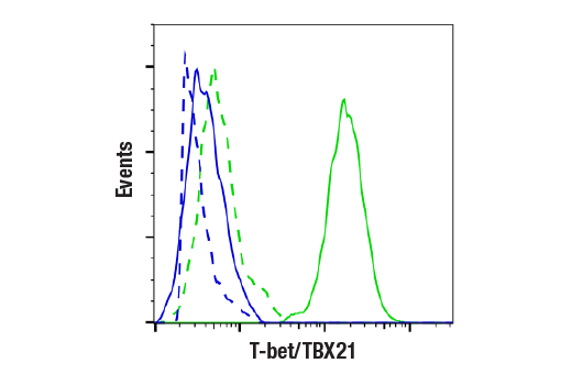 Flow Cytometry Image 1: T-bet/TBX21 (E4I2K) Rabbit mAb