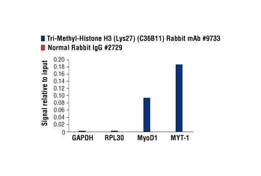  Image 28: Methyl-Histone H3 (Lys27) Antibody Sampler Kit