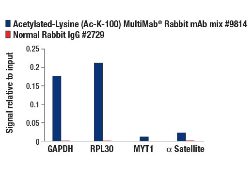 Chromatin Immunoprecipitation Image 1: Acetylated-Lysine (Ac-K2-100) MultiMab®  Rabbit mAb mix