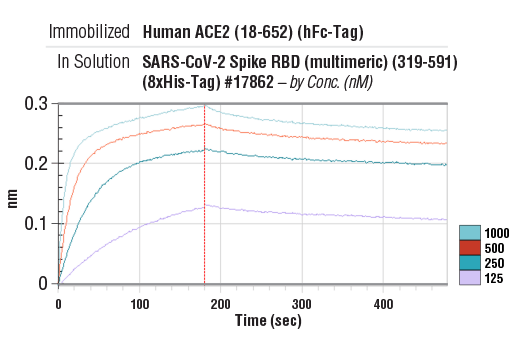  Image 1: Human ACE2 (18-652) Recombinant Protein (hFc-Tag)