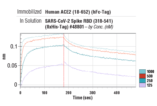  Image 2: Human ACE2 (18-652) Recombinant Protein (hFc-Tag)