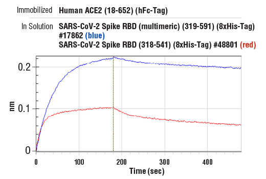  Image 3: Human ACE2 (18-652) Recombinant Protein (hFc-Tag)