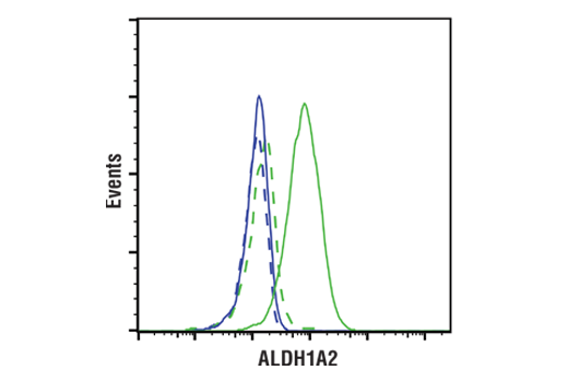 使用 ALDH1A2 (E6O6Q)（实线）或浓度匹配的 Rabbit (DA1E) Isotype Control（虚线）对 Jurkat 细胞（蓝色）和 K-562 细胞（绿色）进行流式细胞分析。Anti-rabbit IgG (H+L), F(ab')2 Fragment (Alexa Fluor® 488 Conjugate) 可用作二抗。