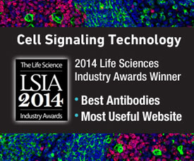 2014授予 CST LSIA 奖