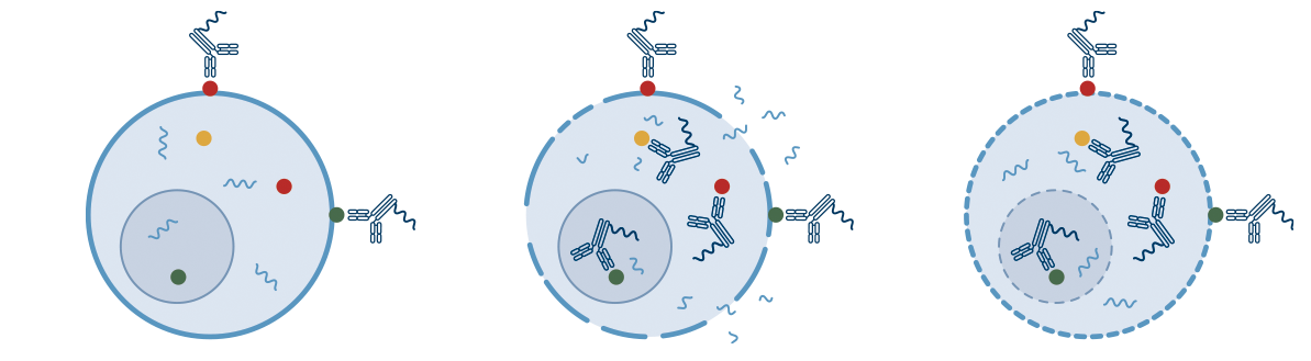 Graphic showing that InTraSeq™ Single Cell Analysis detects surface and intracellular proteins while guaranteeing a robust RNA signal, as opposed to other technologies attempting to capture intracellular protein in single-cell assays at the cost of RNA integrity.