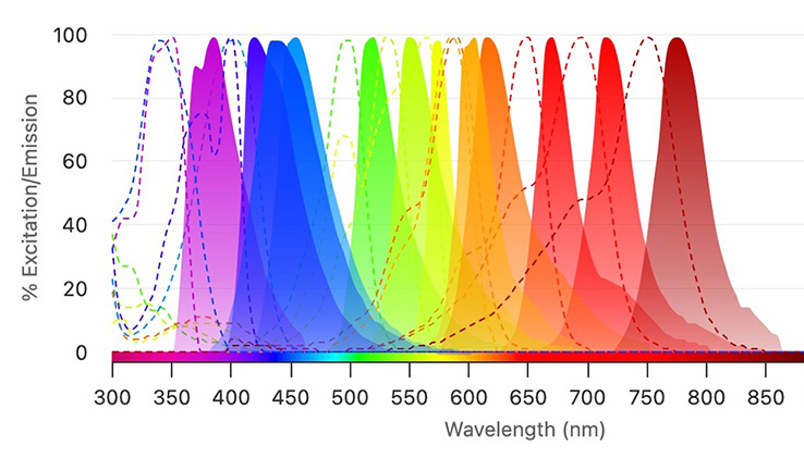 Fluorescence Spectra Viewer