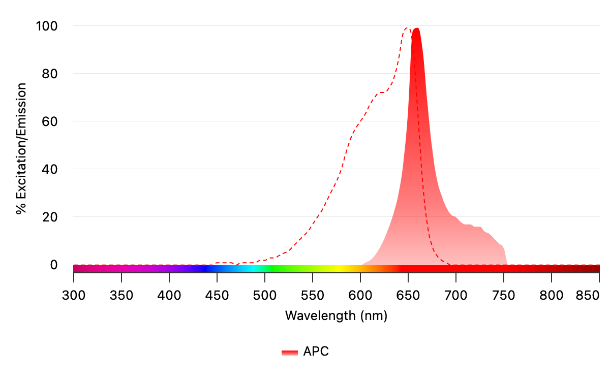 The excitation spectrum (dashed red line) and emission spectrum (solid red line) for APC are shown above. APC conjugates' far-red emission and high brightness minimize spectral overlap and background autofluorescence, making them ideal for multicolor flow cytometry panels. Easily excited by standard 633 or 640 nm lasers, APC conjugates ensure clear detection of low-abundance markers.