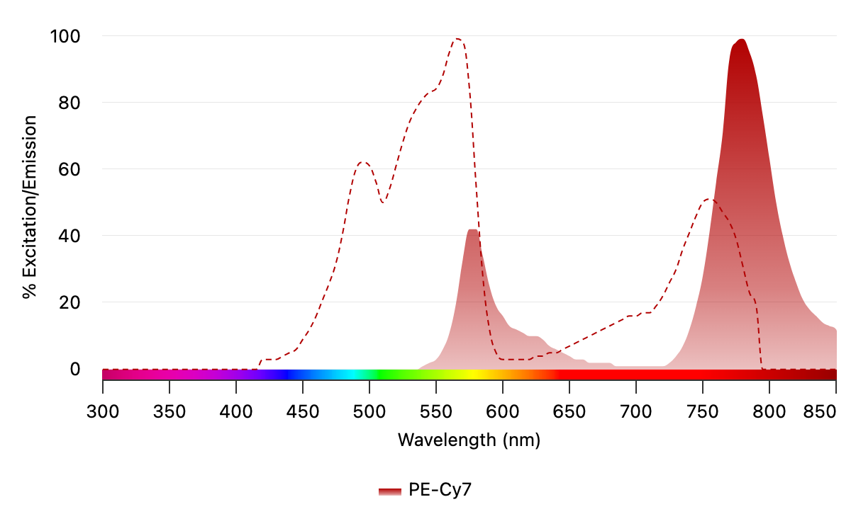 The excitation spectrum (dashed red line) and emission spectrum (solid red) for PE-Cy®7 are shown above. Take advantage of the large Stokes shift and far-red/NIR emission, enabling multifluor excitation with the common 488, 532, 561 nm laser lines.