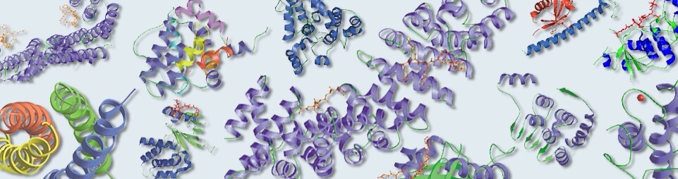 蛋白质结构域与相互作用