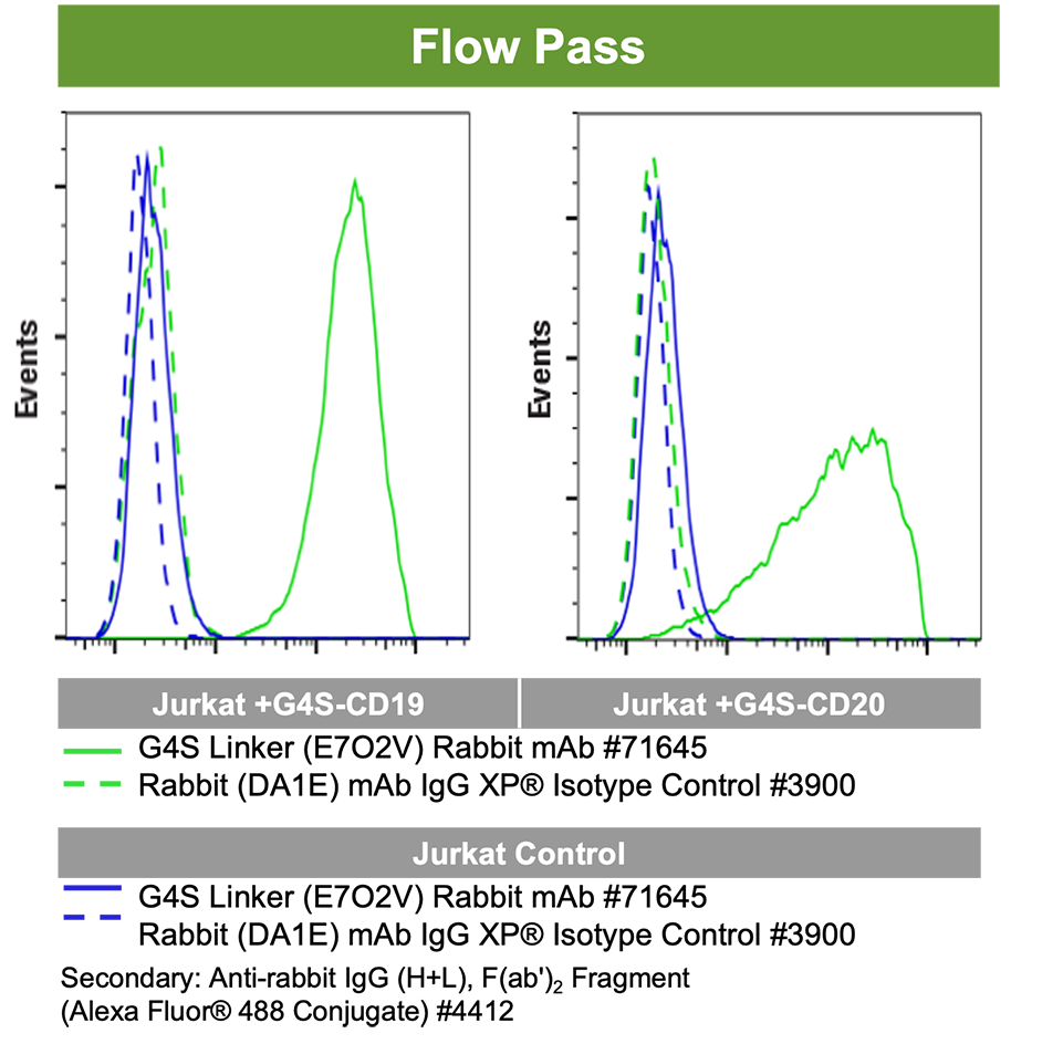 一系列折线图和照片显示抗体通过了 Flow 验证，但未能通过 IHC 验证。文本读取：在 FFPE 细胞沉淀物上滴定 E702V 后，阳性细胞和阴性细胞的信号没有差异。