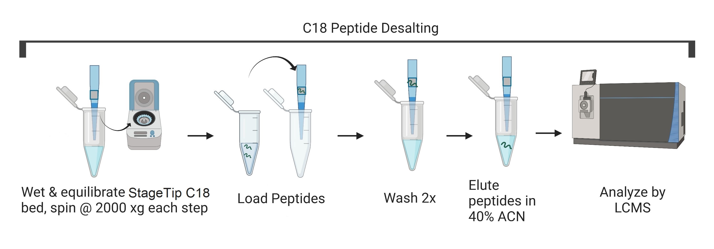 PTM Peptide IP