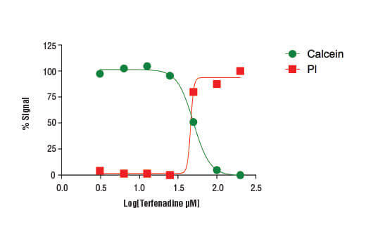 碘化丙啶/钙黄绿素-AM 检测评估细胞活力