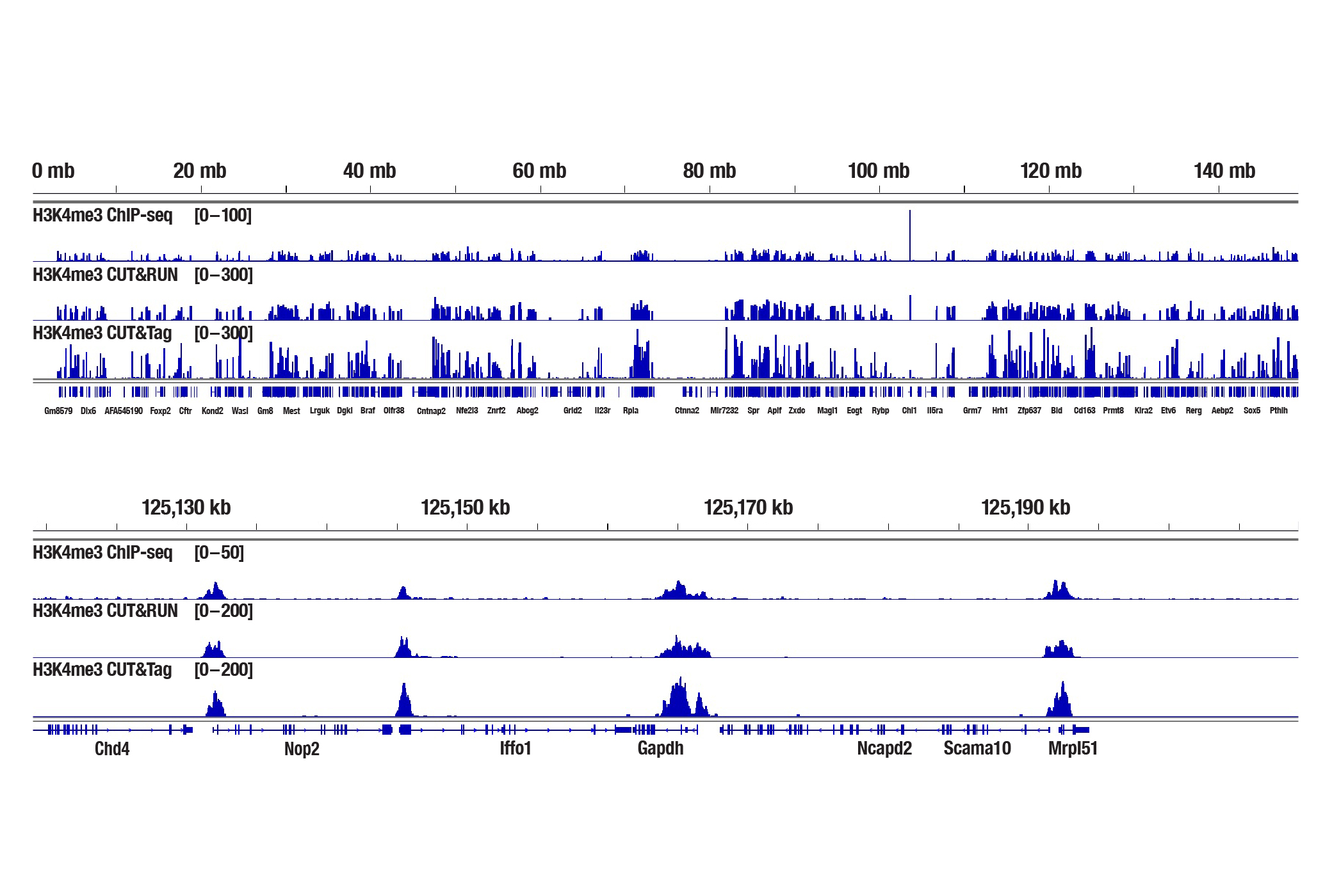 新鲜肝组织中组蛋白 PTM 的 ChIP-seq 对比 CUT&RUN 对比 CUT&Tag