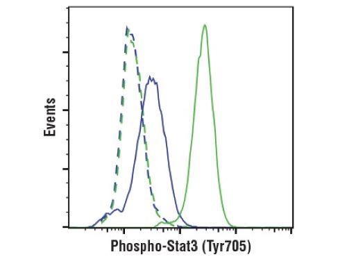 Phospho-Stat3 (Tyr705) (D3A7) XP<sup>®</sup> Rabbit mAb #9145